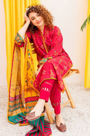 Arohi Heavy 3pc Emboidery